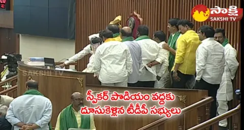 TDP Leaders Over Action In AP Assembly