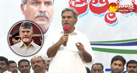Kesineni Nani Fires On Chandrababu Naidu 