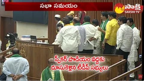 TDP MLAs Overaction In AP Assembly Session 2024