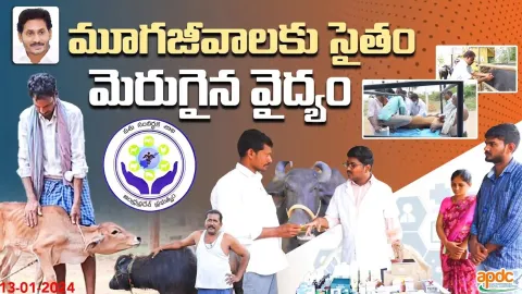 YSR Sanchara Pashu Arogya Seva In Andhra Pradesh