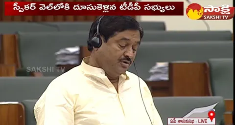 AP Private University Amendment Bill Passes In Assembly