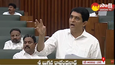 AP Finance Minister Buggana Rajendranath Full Speech In Assembly 
