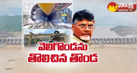 CAG Points Out Lapses In The Execution Of Veligonda Project