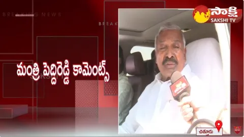 Minister Peddireddy Ramachandra Reddy Counter to Chandrababu Comments