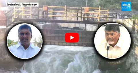 TDP Scam In Nellore Kandaleru Lift Irrigation Project