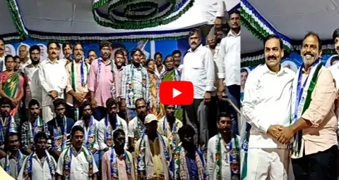 TDP Leaders Joins YSRCP Party 