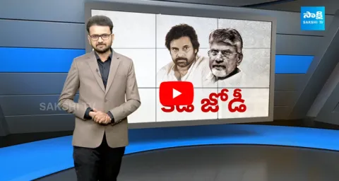 Facts Behind Chandrababu Alliance With BJP