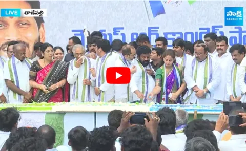 YSRCP Formation Day Celebrations In Tadepally