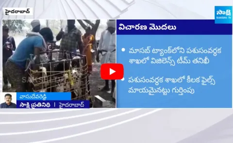 Vigilance Officials Inquiry on Telangana Animal Husbandry