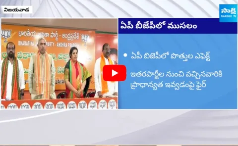 AP Original BJP Leaders Letter To High Command
