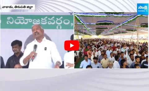 Peddireddy Ramachandra Reddy Hot Comments On Chandrababu Manifesto
