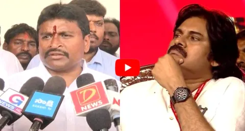 Pawan Kalyan Viral Comments On Janasena Seats