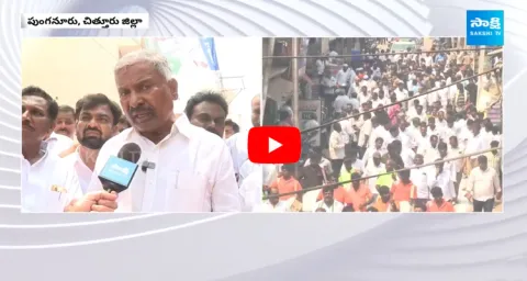 Peddireddy Ramachandra Reddy Slams Chandrababu