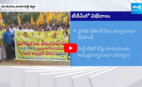 TDP Leaders Protest against Pyala Prasada in Madugula