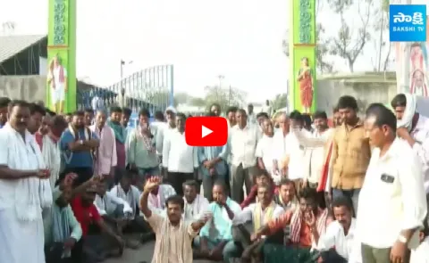 Mirchi Farmers Struggle Over Price Drop In Khammam Market