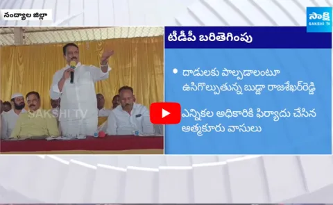 TDP Leader Budda Rajasekhar Reddy Sensational Comments on Volunteers