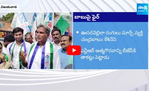 Kesineni Nani Strong Counter to Chandrababu and Pawan Kalyan