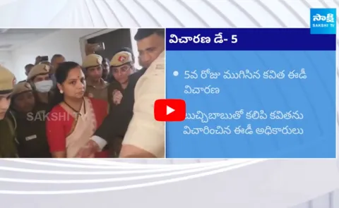 Auditor Buchi Babu Revealed Shocking Details In Kavitha Liquor Scam Case
