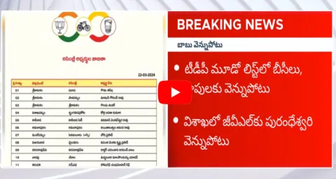 TDP Party Candidates List Released