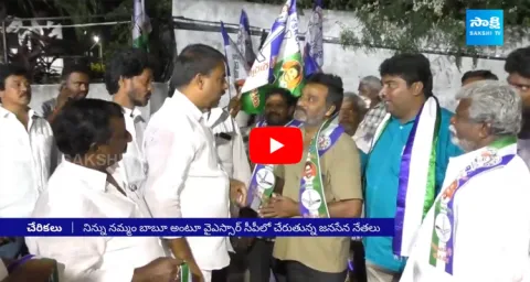 Huge Joinings In YSRCP From TDP And Janasena 