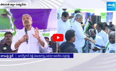 Peddireddy Ramachandra Reddy Praises CM YS Jagan