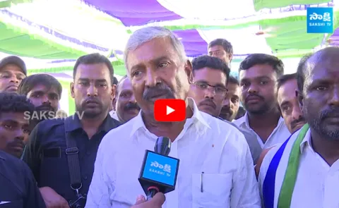 Minister Peddireddy Ramachandra Reddy Setires On Chandrababu