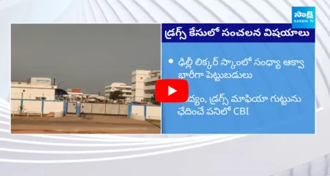 Drug Transport In The Form Of Dry Yeast