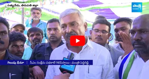 Minister Peddireddy Ramachandra Reddy About 2024 Elections