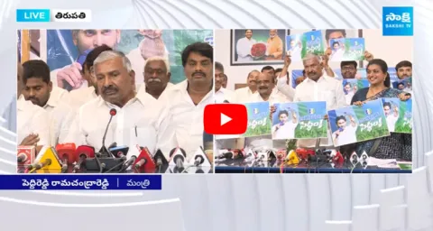 Peddireddy Ramachandra Reddy About CM Jagan Bus Yatra And Public Meetings Schedule