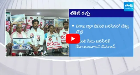 TDP And JanaSena Assembly Seats Fight