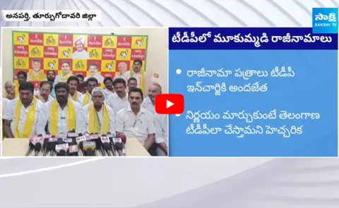 TDP Leaders Resign In Anaparthi 