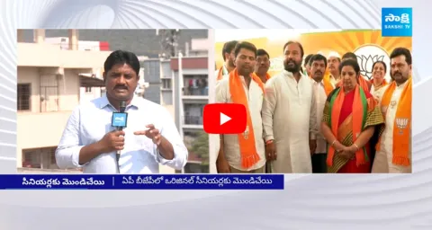 AP BJP Leaders Disappointment On Candidates List