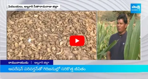 Operation Parivarthana On Tribal People