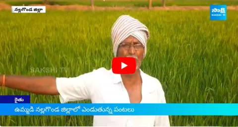 Water Level Reaches To Dead Storage At Nagarjuna Sagar 