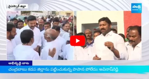 MP YS Avinash Reddy Comments On Chandrababu