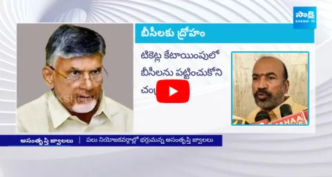 Chandrababu MP And MLA Tickets For BC Communities
