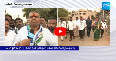 YSRCP MLA Avanthi Srinivas About CM Jagan Victory