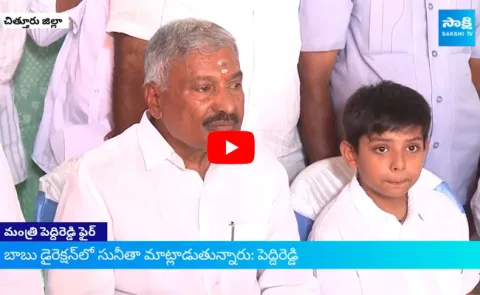 Minister Peddireddy Ramachandra Reddy Strong Counter To Chandrababu
