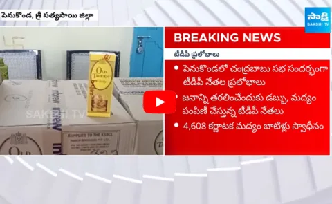 Chandrababu Penukonda Public Meeting