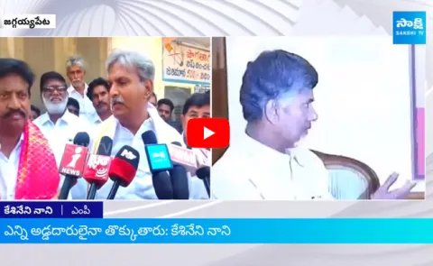 Kesineni Nani Comments On Chandrababu Delhi Tour