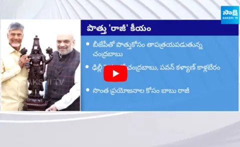 Chandrababu about AP Special Status in Delhi Tour