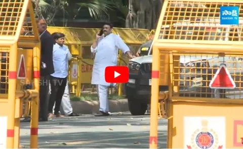 Amit Shah Shock To Raghurama Krishnam Raju 