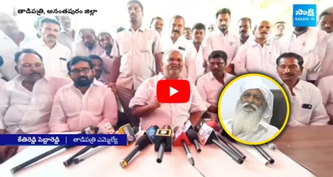 Tadipatri MLA Kethireddy Pedda Reddy Slams JC Prabhakar Reddy