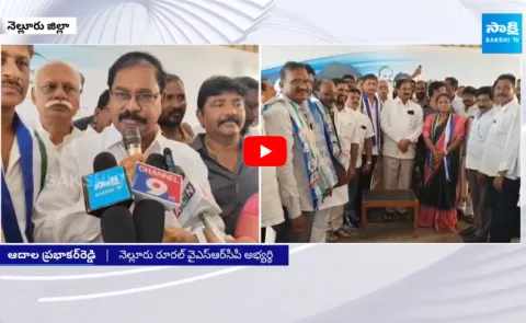 Nellore TDP Leader Srinivasulu Reddy Cadre Joinned In YSRCP