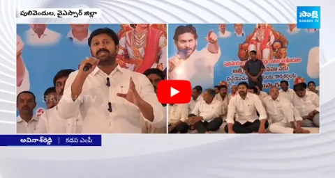 MP YS Avinash Reddy Fires On Chandrababu 