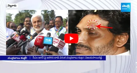 Vijaya Sai Reddy Reaction On CM YS Jagan Stone Hit Incident