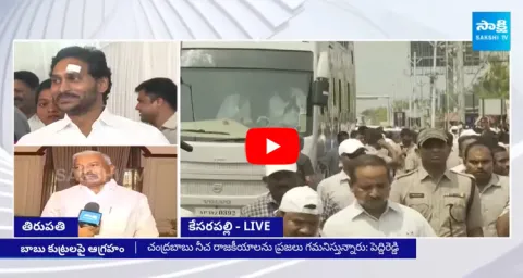 Peddireddy Ramachandra Reddy Fire On Chandrababu