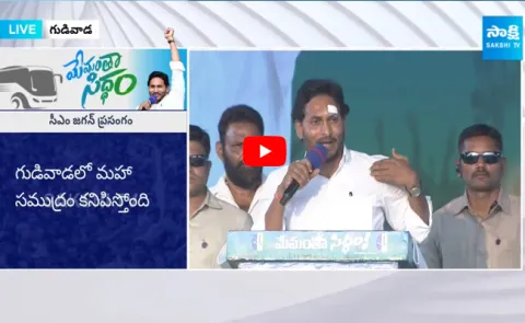 CM Jagan Comments on Stone Pelting