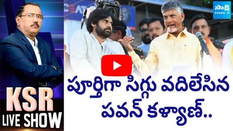 Pawan Kalyan and Chandrababu Cheap Comments on Stone Pelting