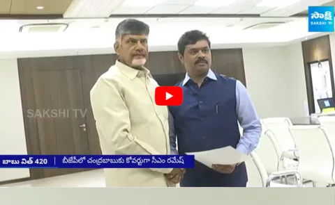 Chandrababu Fake Promises For CM Ramesh Win In Lok Sabha Elections 